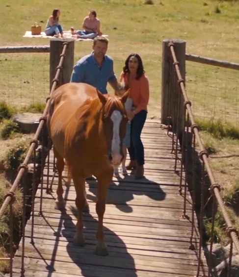 2026-10-28 14_26_06-Media Player